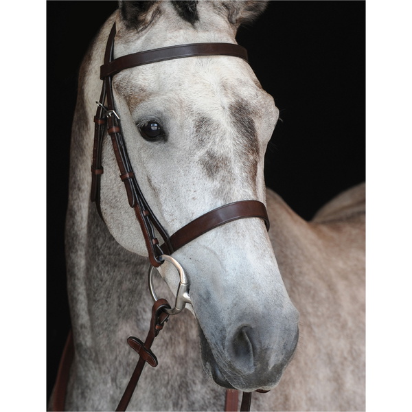 Collegiate Chasse Caveçon Bridon Iv 800800 - Marron